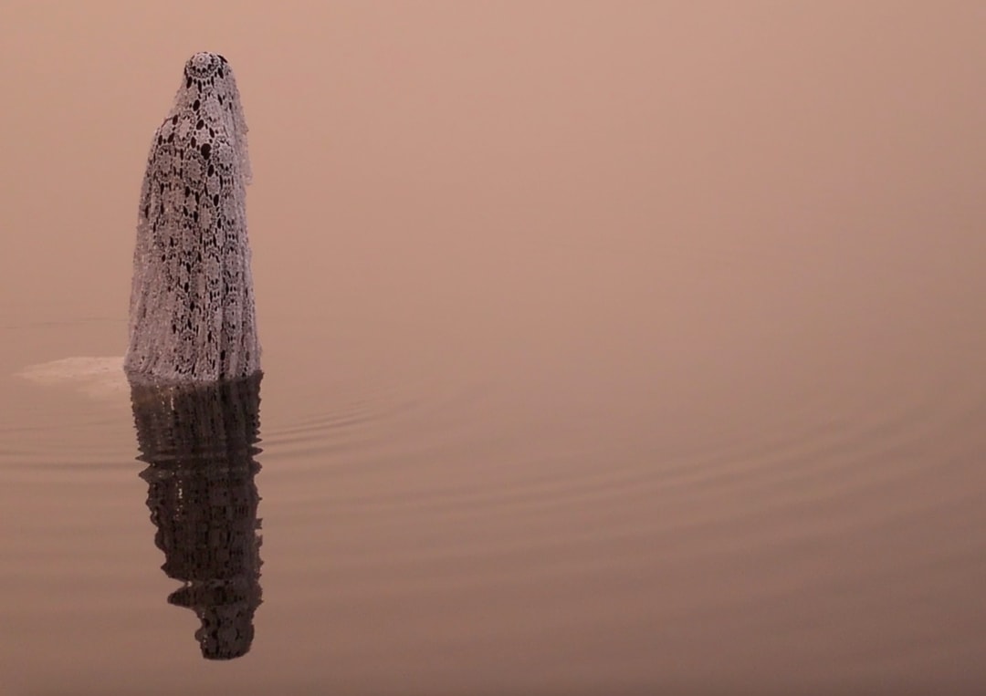 Elladj Lincy Deloumeaux / Résidence @ Grand-Bassam, Côte d'Ivoire, Vidéo de restitution de la résidence de création de l'artiste