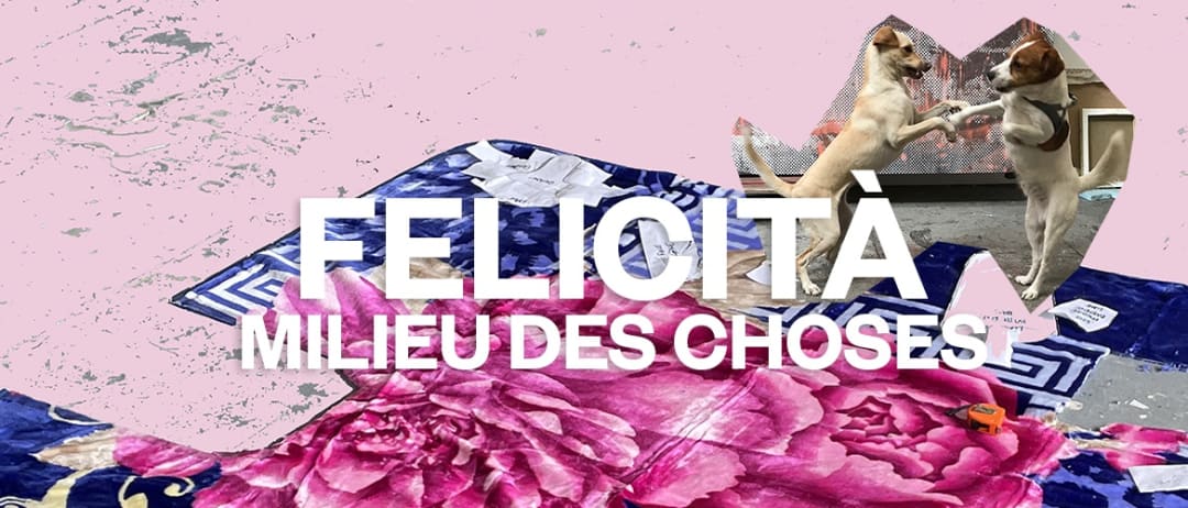 Felicità Milieu des choses @ POUSH, Thibaut Bouedjoro - Camus