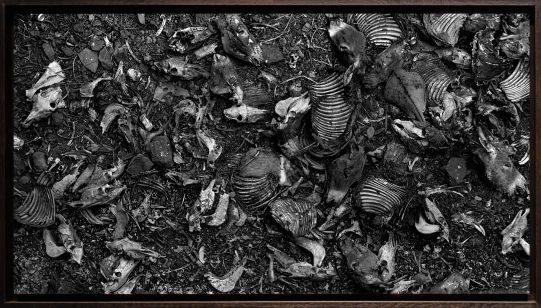 Groll' Up @ Frac Occitanie Montpellier, Yo-Yo Gonthier