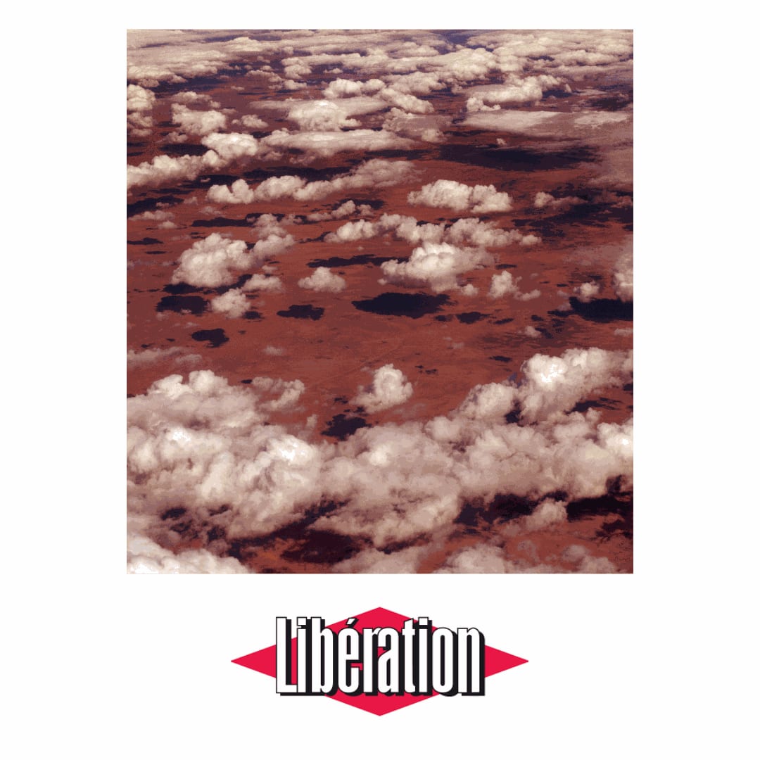 Au Jeu de paume, la nature dans tous ses éclats, Yo-Yo Gonthier