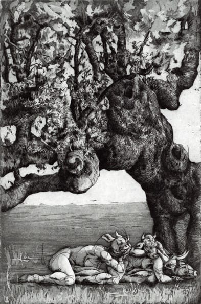 Maite Cascón, Sleeping Under the Evergreen Oak, 2024