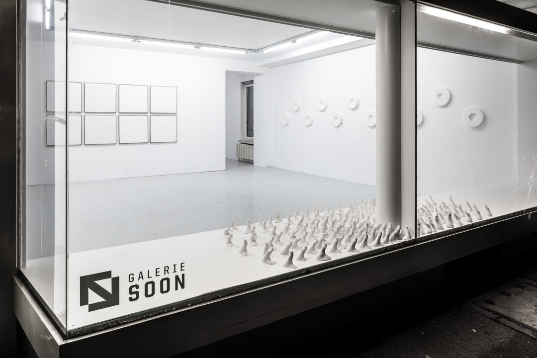 the show that never opened, Peter Baracchi