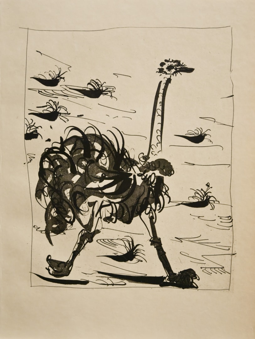 The Ostrich