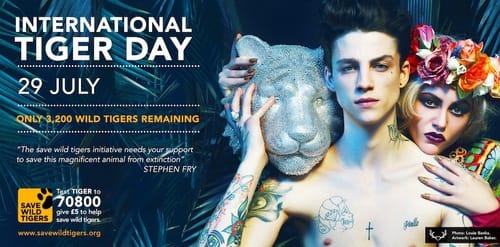 International Tiger Day