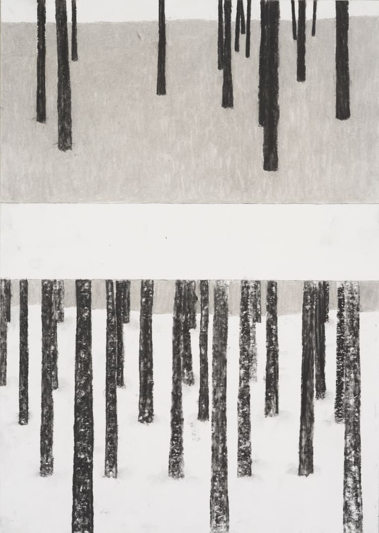 Film Still, 2009 Soft pastel on paper 軟粉彩紙本 53 x 40 cm