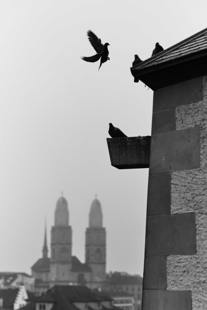 SWISS PHOTO CLUB , Zurich Street Photography Masterclass with Phil Penman (Few Spots left)