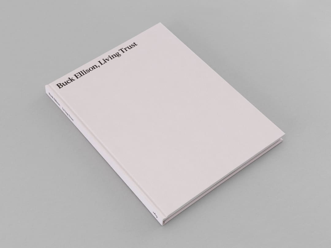 Buck Ellison: Living Trust, Texts by Lucy Ives, Orit Gat and Brooke Harrington