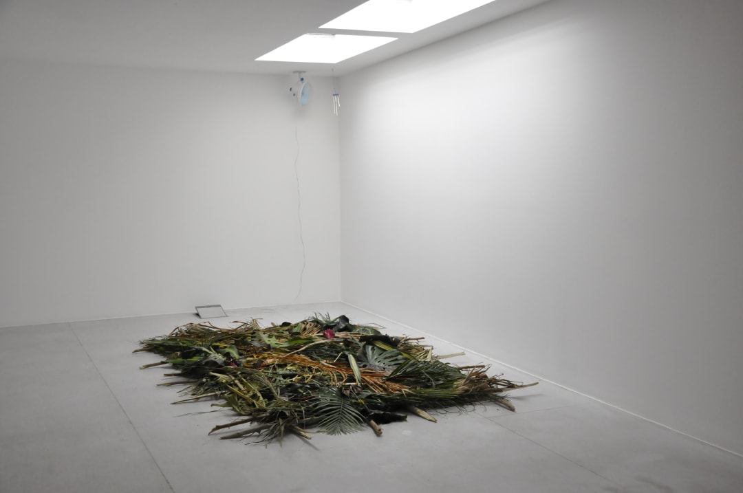 Installation view, Study for a Curtain, 2015