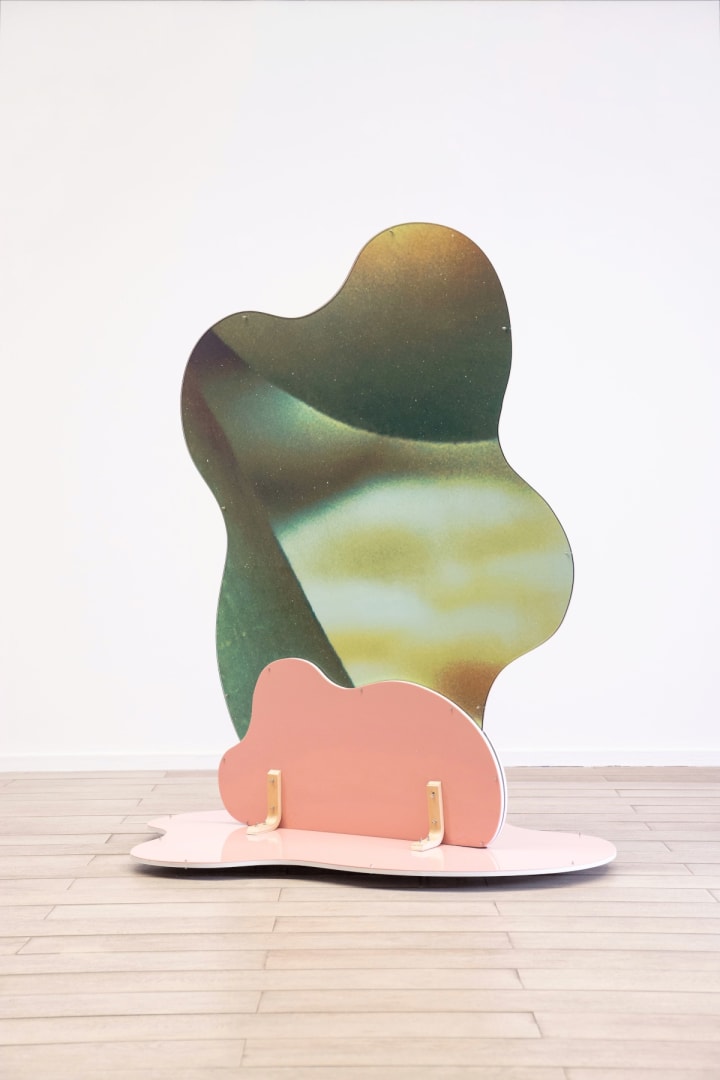 Sara Naim, Pink Curves, 2020–1