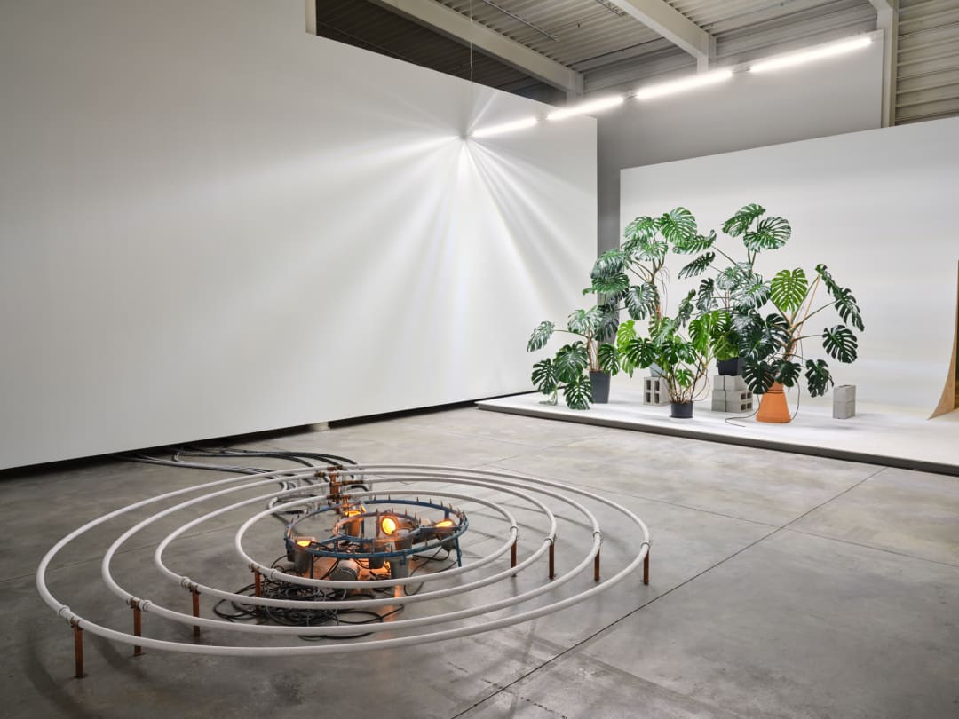 Installation view: Abbas Akhavan: One Hundred Years (September 5–December 7, 2025) at the Morris and Helen Belkin Art Gallery. Photo: Rachel Topham Photography.