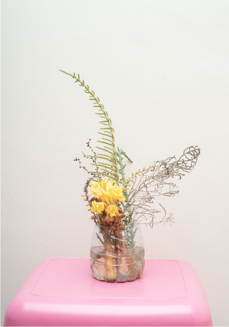 Farah Al Qasimi, Desert Hyacinth, 2025, Archival Inkjet Print, 76.2 x 53.34 cm