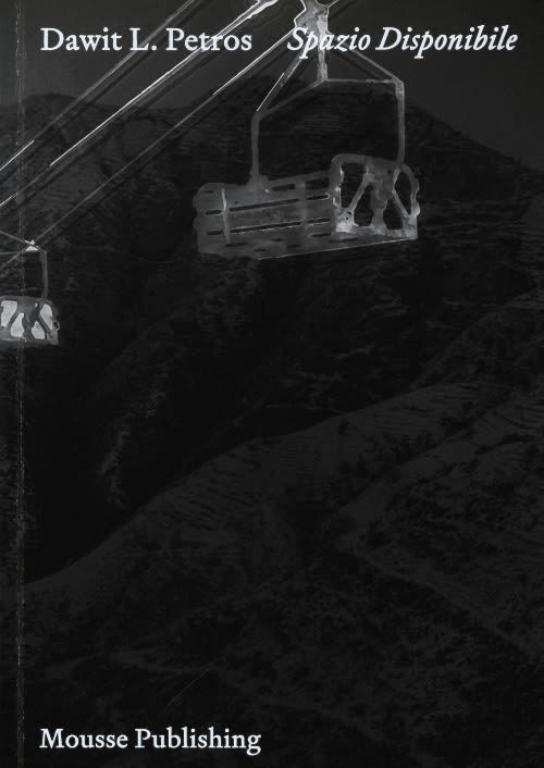 Dawit L. Petros: Spazio Disponibile, The Power Plant