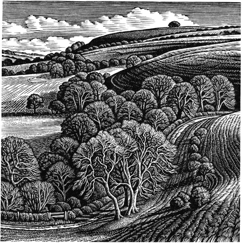 Howard Phipps, 'Under Win Green', wood engraving