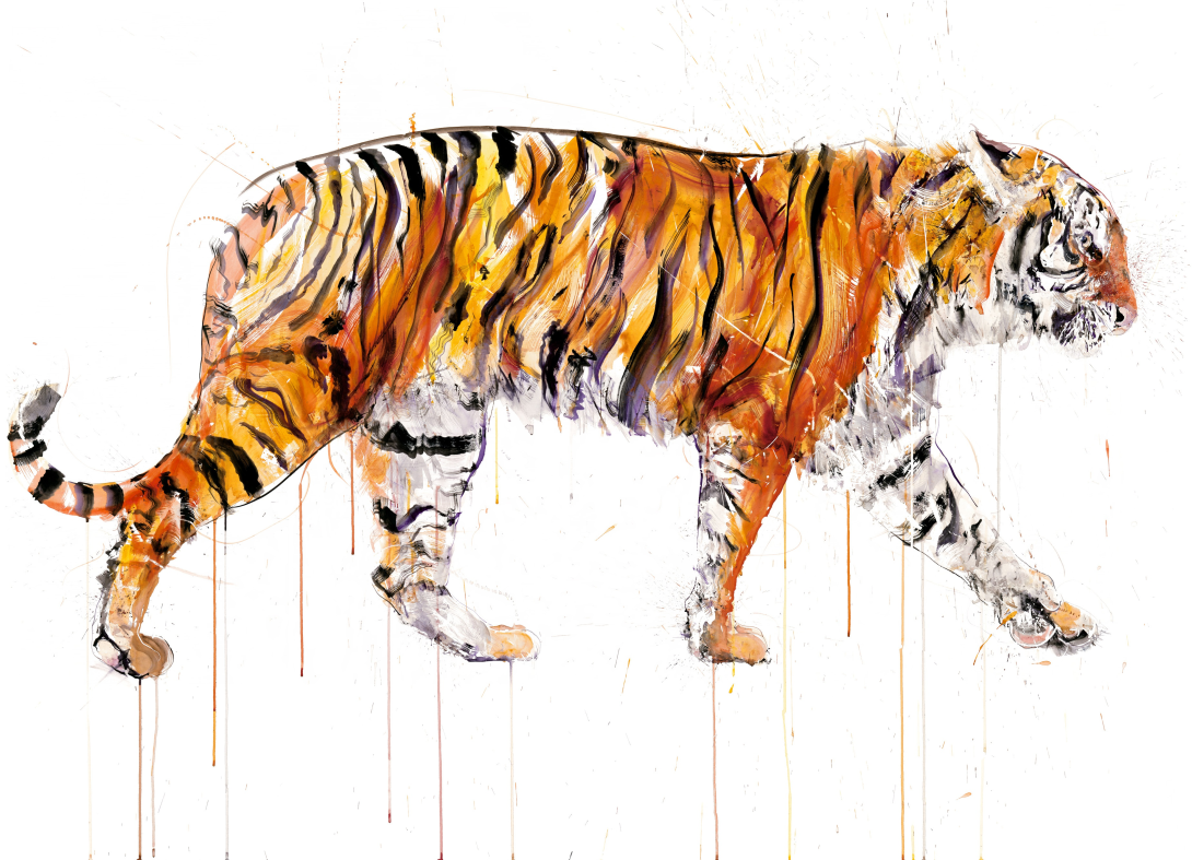 Tiger 2022