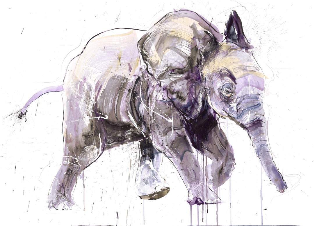 Young Elephant II