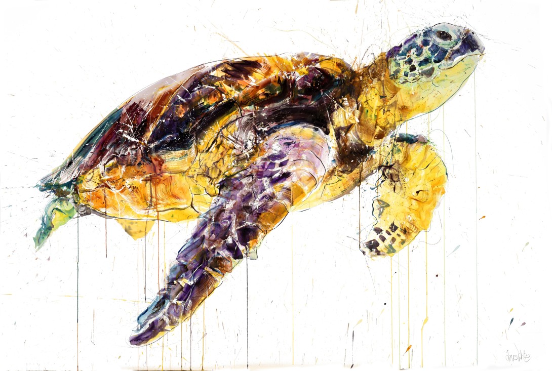 Sea Turtle 