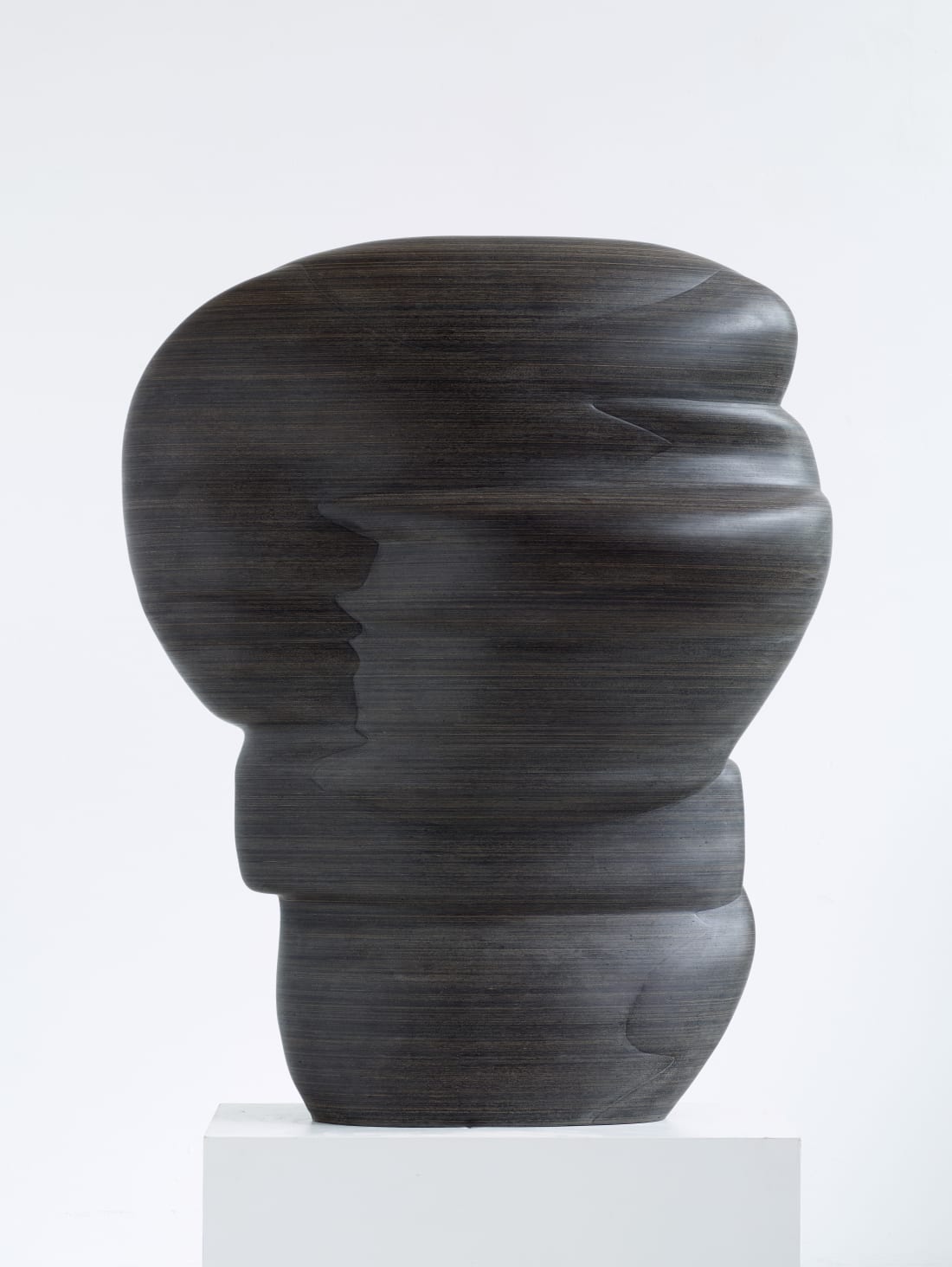 Tony Cragg, Masks, 2023