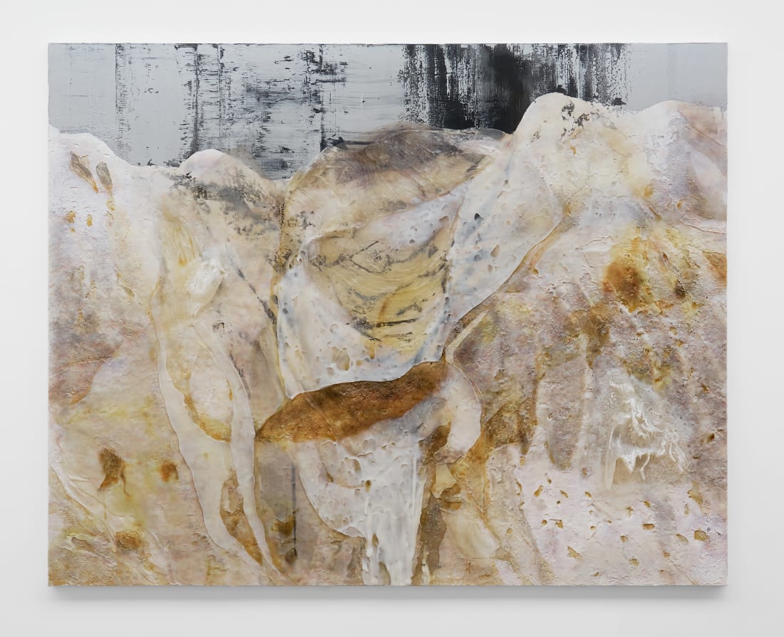 Heemin Chung, The Sleeping Birds – Thin, Ambiguous, Abstract, and Intermediate – Which Decided to Be Engraved on the Expanded...