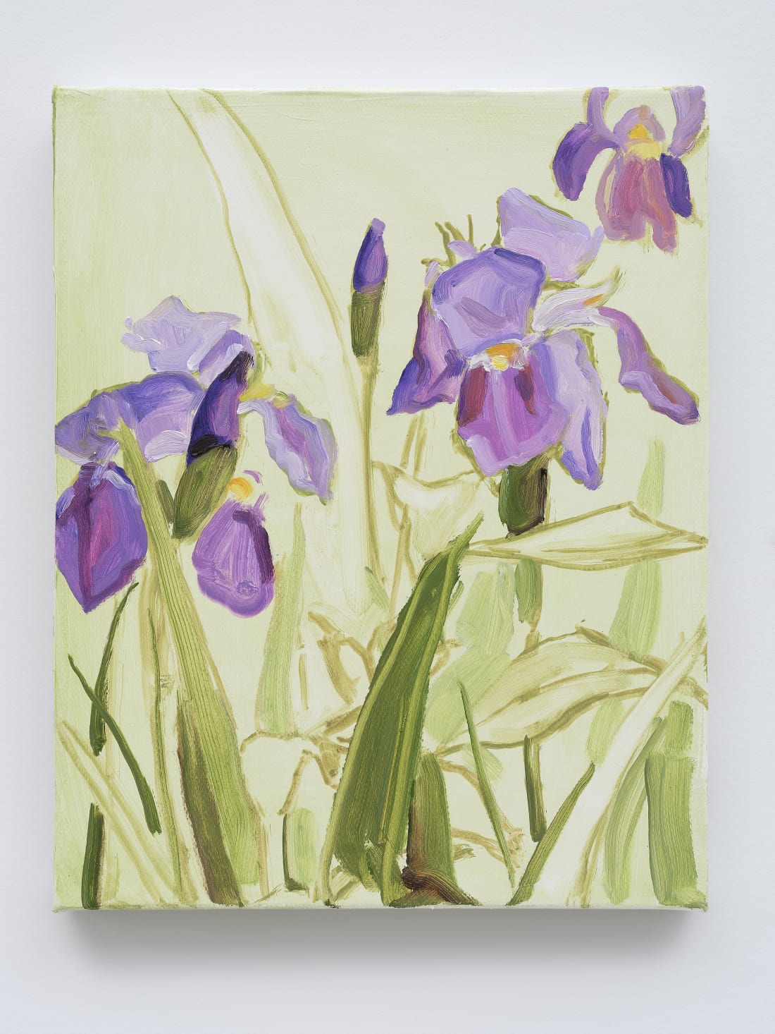 Jordan Casteel, Iris, 2024