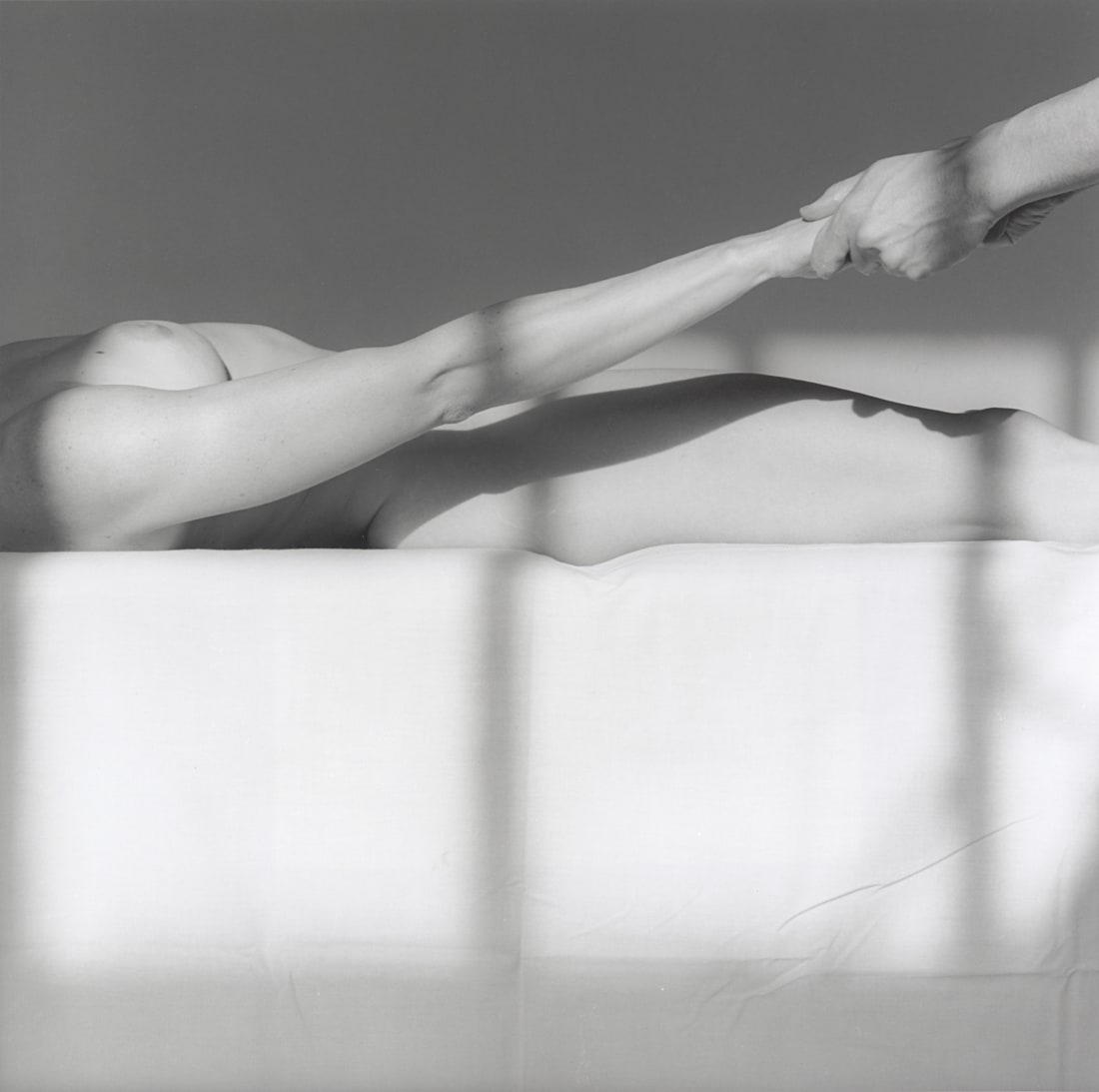 Robert Mapplethorpe Foundation, Lisa Lyon, 1982