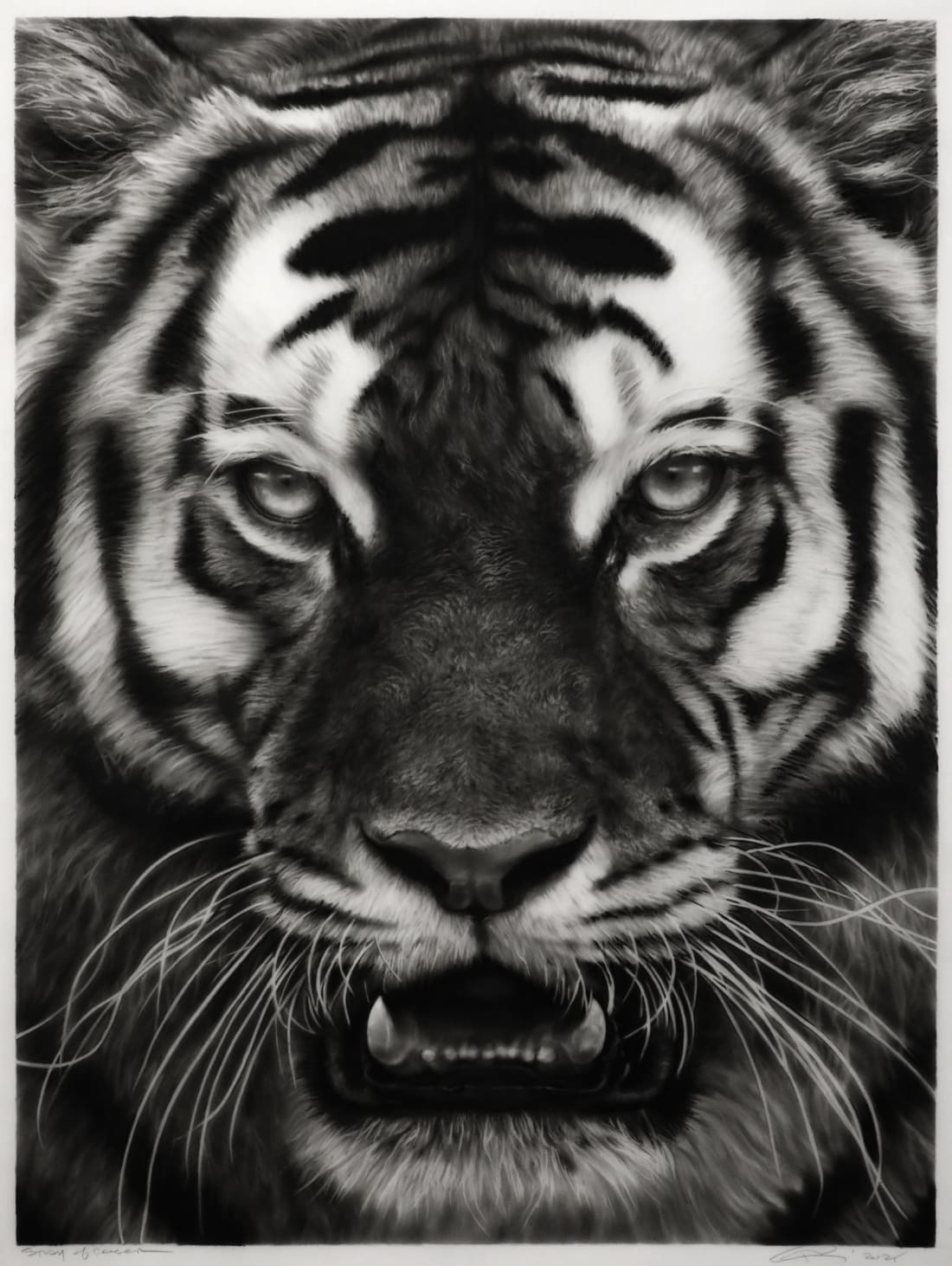 Robert Longo, Study of Tiger, XL, 2025