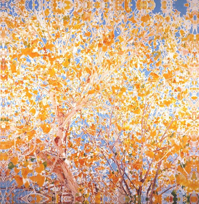 アート・デザイン・音楽 JACK PIERSON  MALAGA Jack Pierson | Thaddaeus Ropac