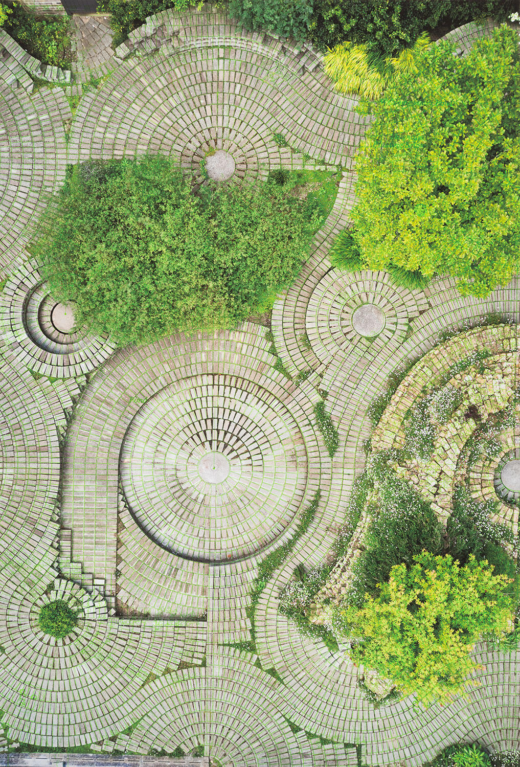 GABRIEL OROZCO, PLANTING MOTION PLAN, 2021