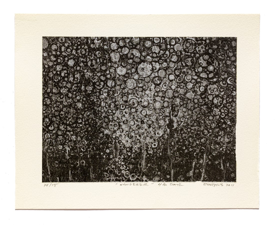 Randall Stoltzfus, The Wanderer 4th State, 2011-2019
