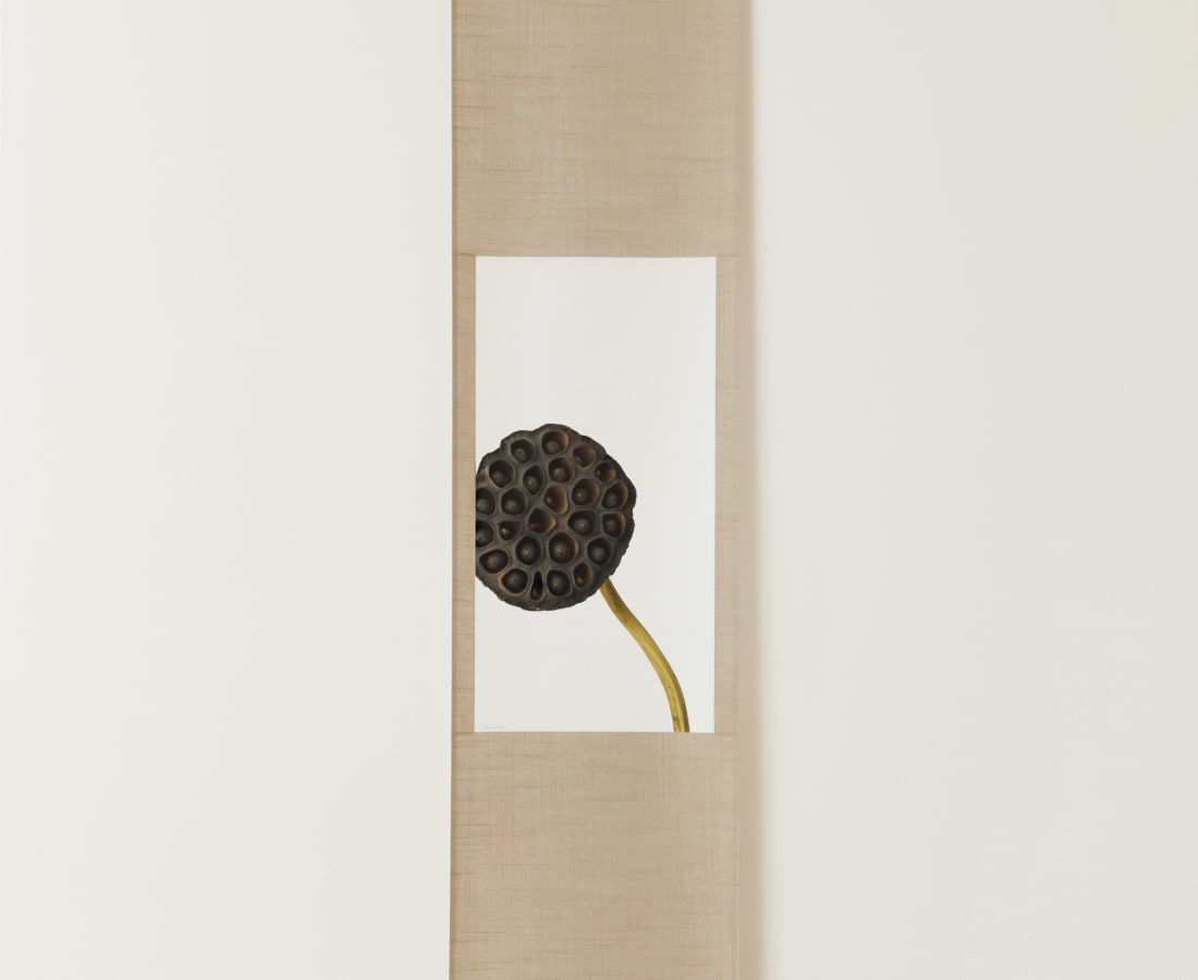 Takashi Tomo-oka, Lotus