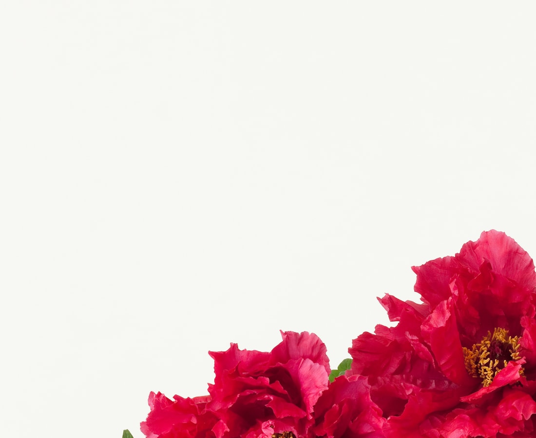 Takashi Tomo-oka, Peony 1, Botan, 2012