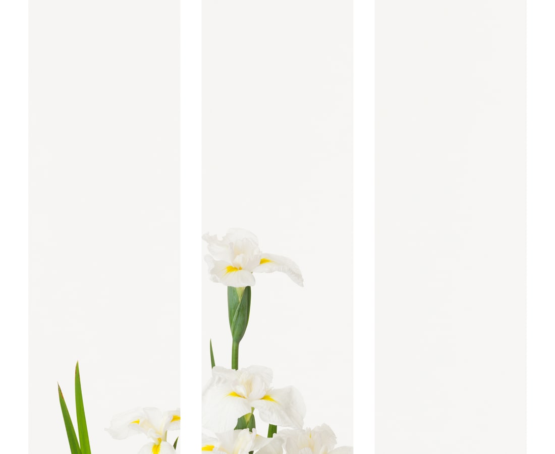 Takashi Tomo-oka, Shobu 1, Shobu, 2015