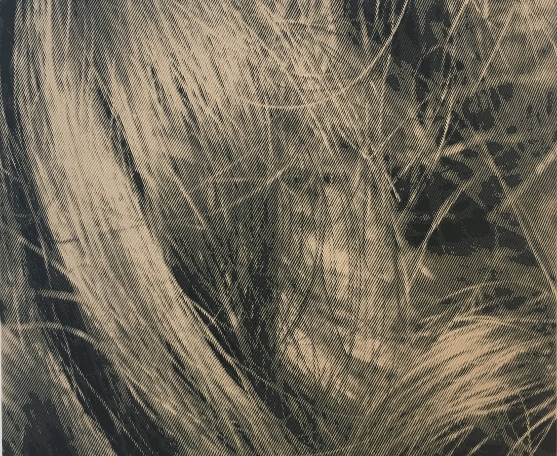 SONJA WEBER, Claudia 564, 2005