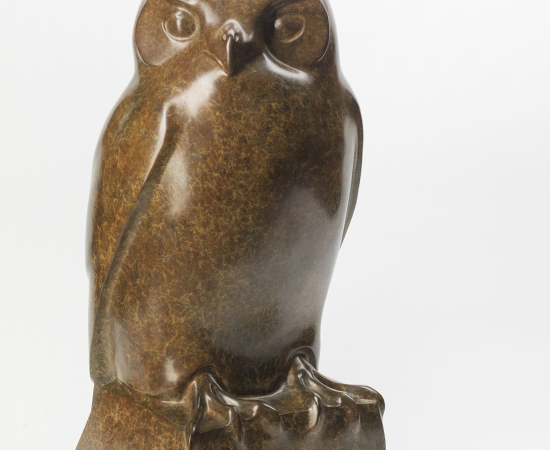 Michael Cooper, Owl, c.2014
