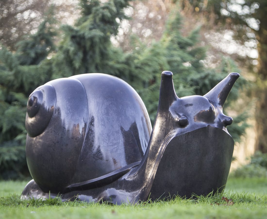 Michael Cooper, Large Snail, 2010