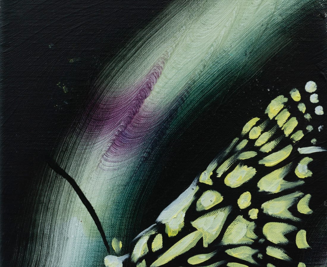 Sophie Steengracht, Gold-streaked dartwhite