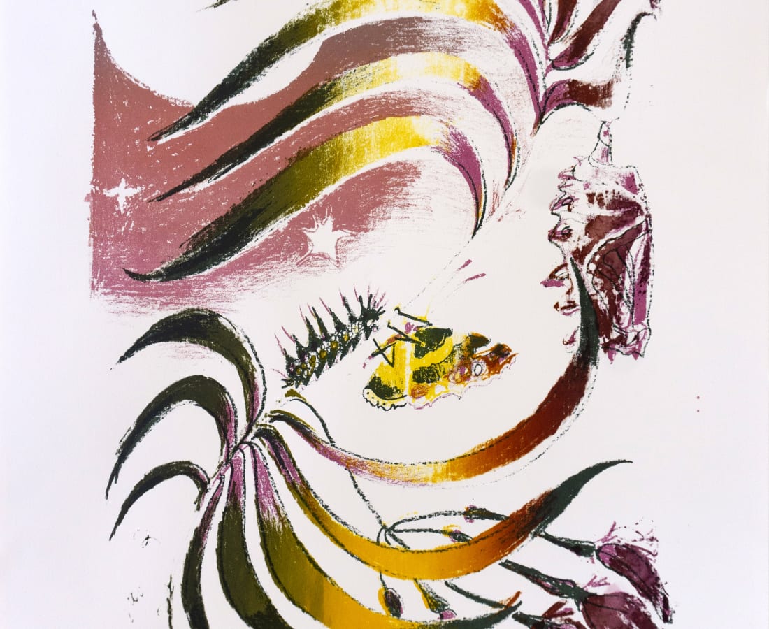Sophie Steengracht, EDITIONS - Transfigure