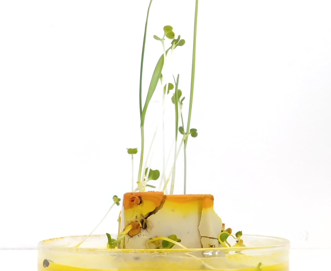 Esther Hoogendijk, Yellow Block