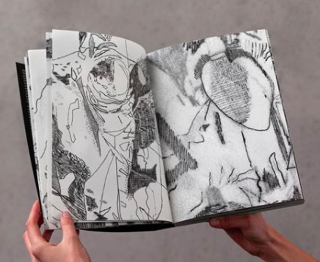 Florentijn de Boer, Boek Phantomride