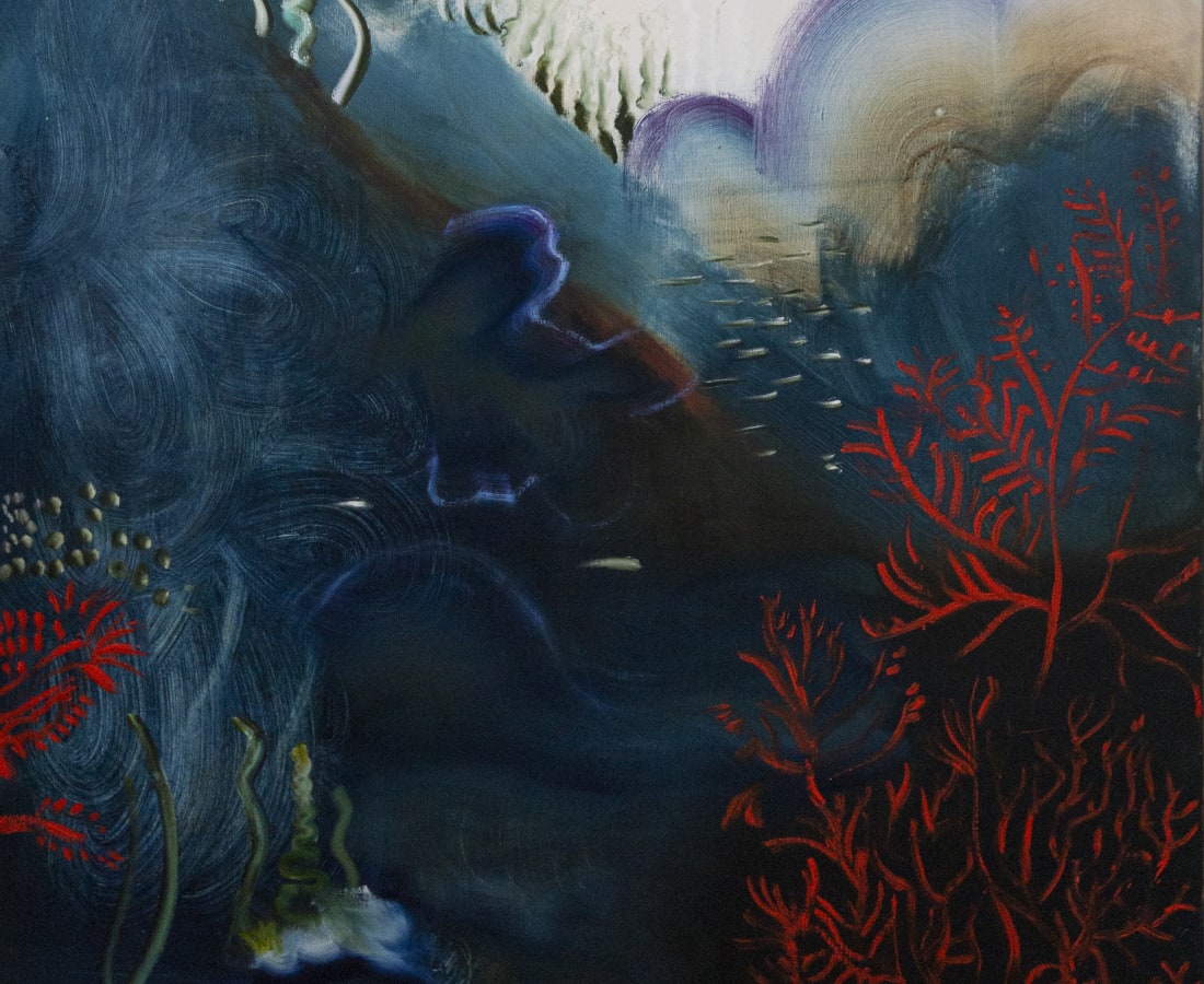 Sophie Steengracht, Coralliidae