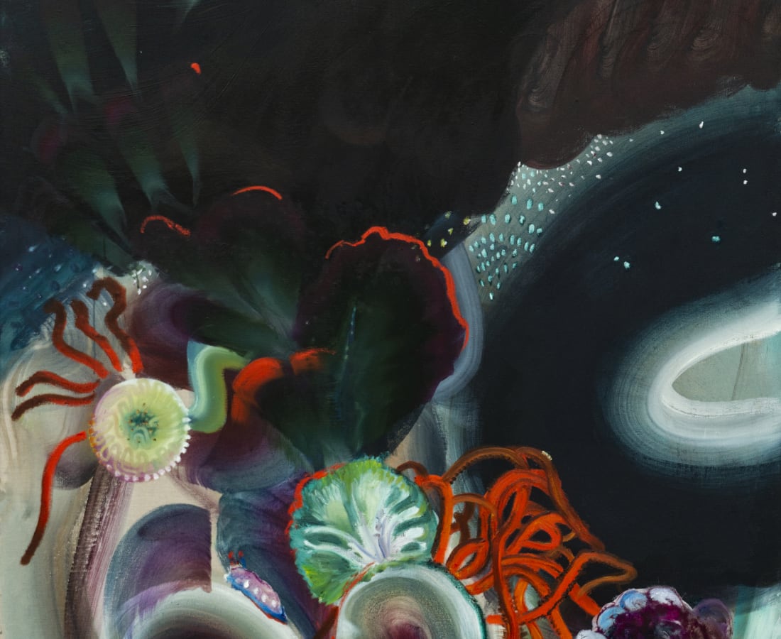 Sophie Steengracht, Anthozoa