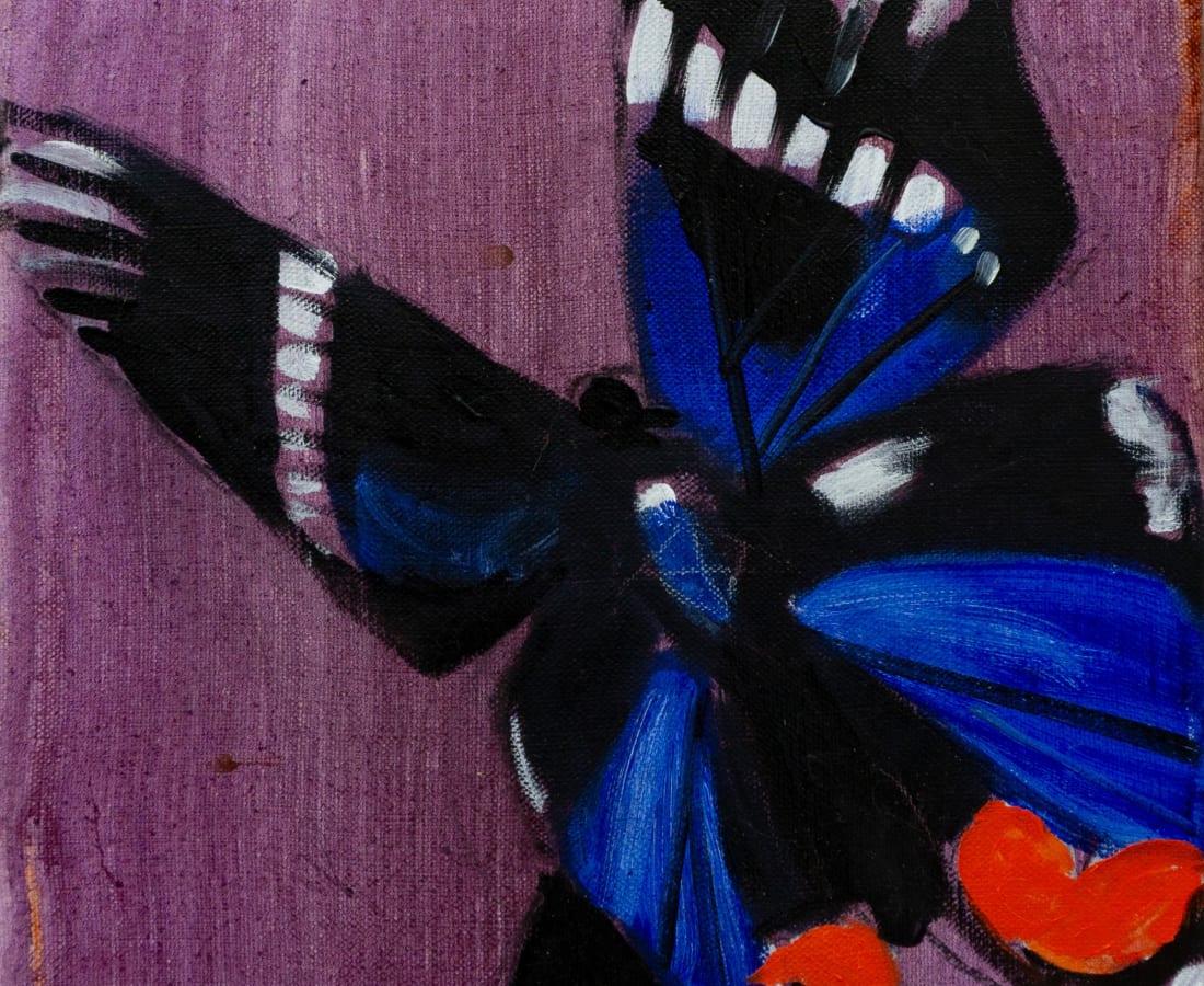Sophie Steengracht, Dyson's blue doctor