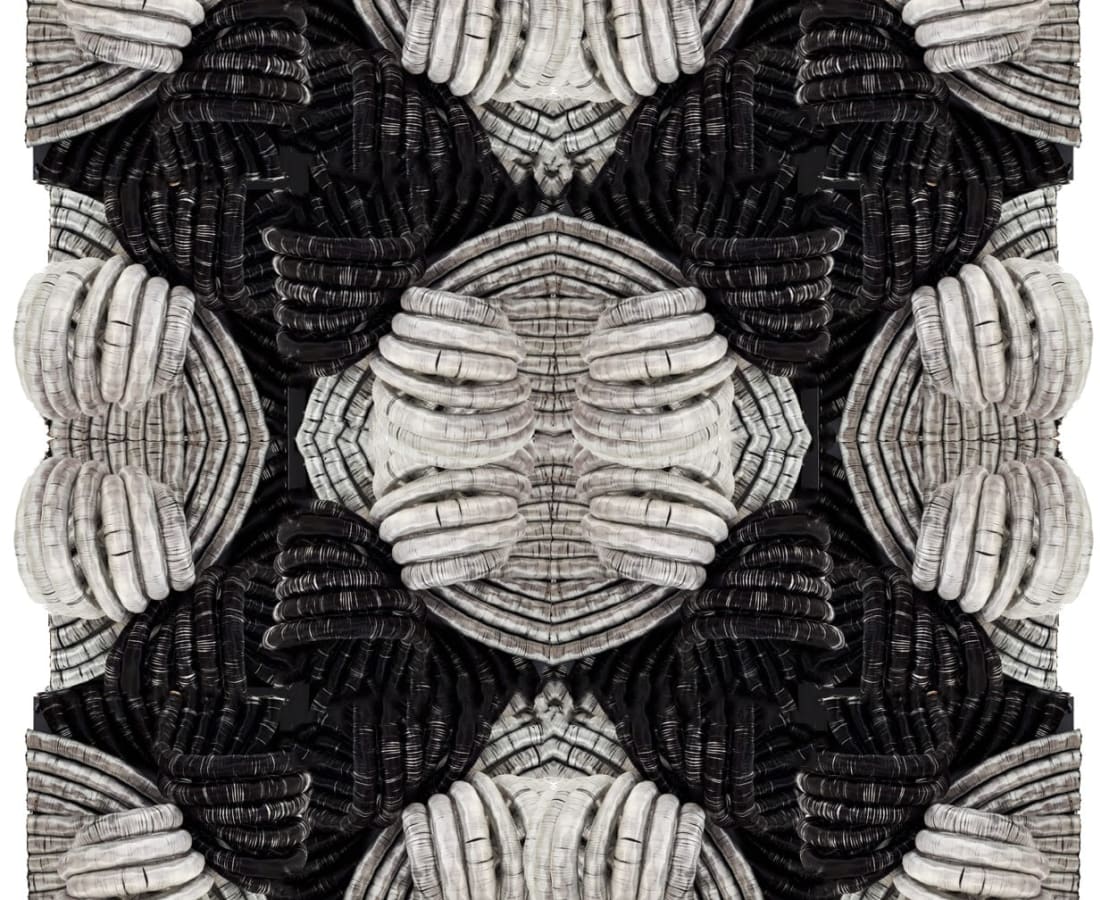 Joana Schneider, Caleidoscope