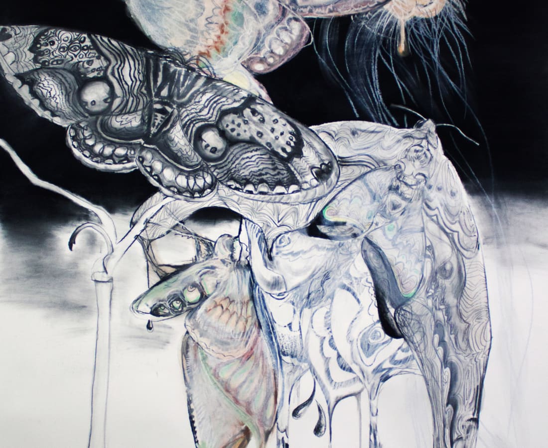 Sophie Steengracht, Nocturnal Pollination