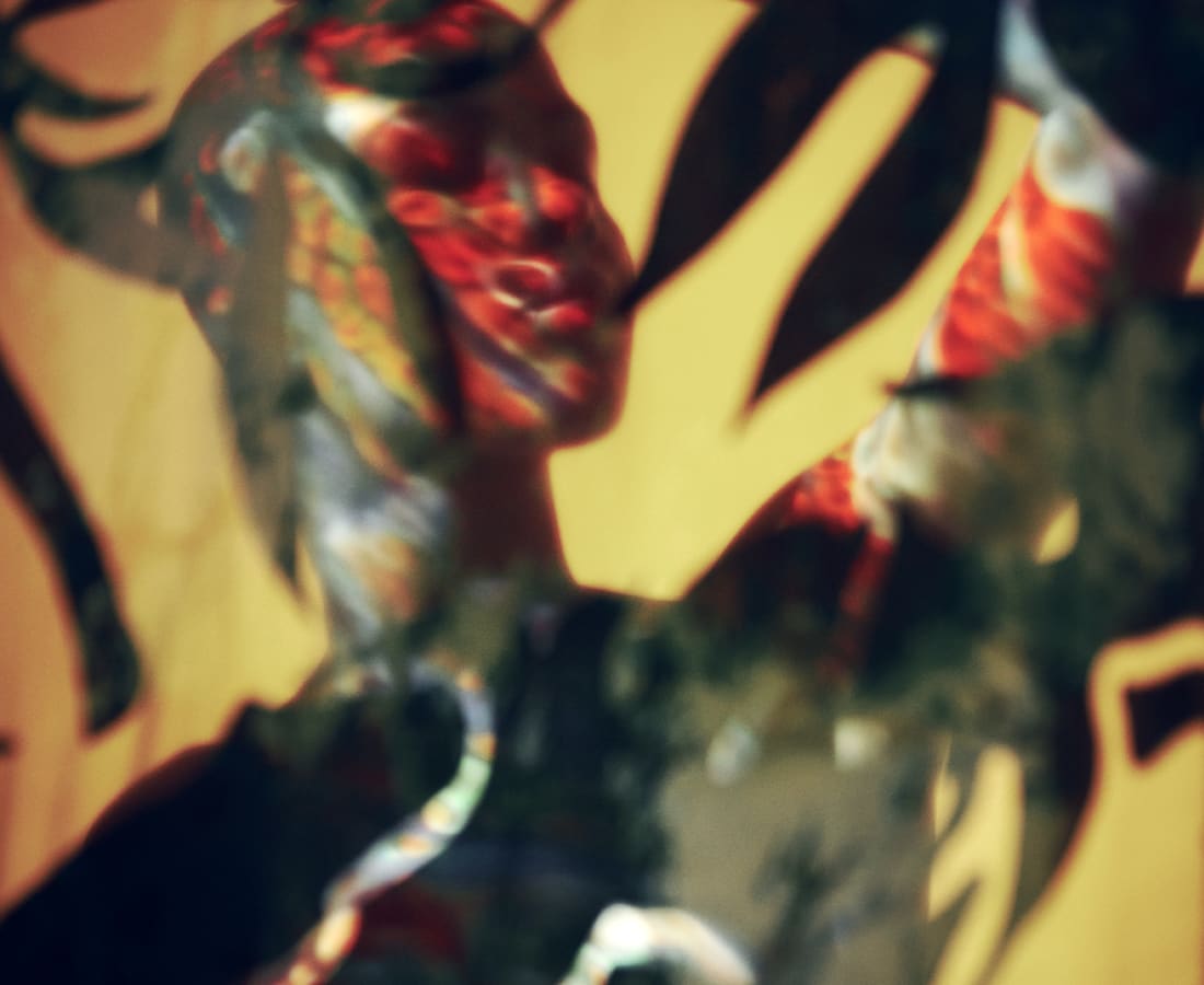 Carli Hermès, Distortion - Vision