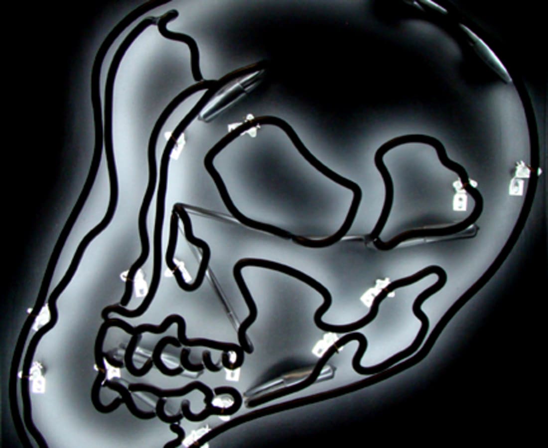 Anne Katrine Senstad, Black Warhol Neon Skull SM, 2009
