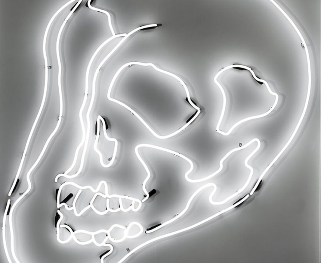 Anne Katrine Senstad, White Warhol Neon Skull SM, 2009