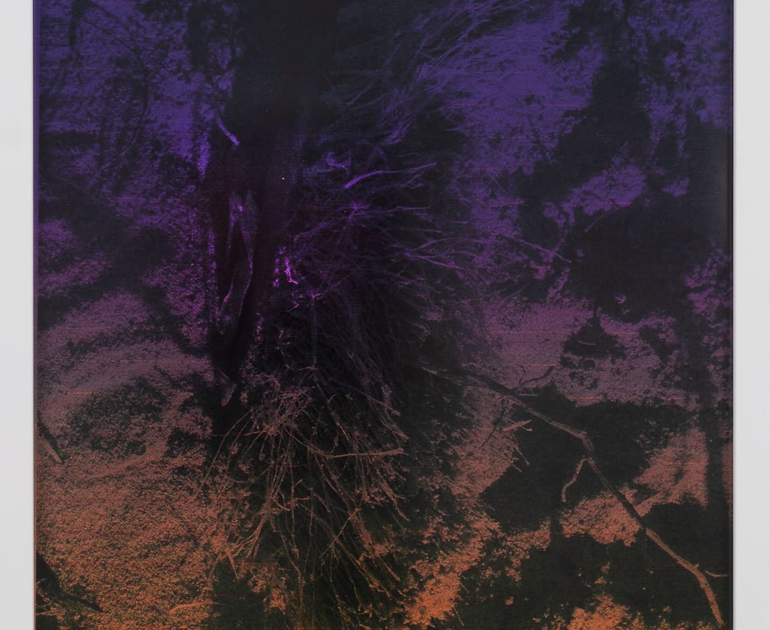 Lionel Cruet, DuskDaybreak 5, 2020