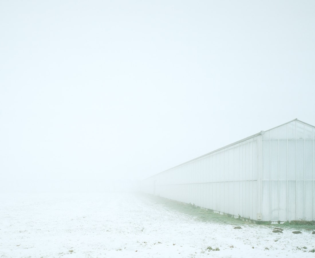Mischa Keijser, Sneeuw en mist, Geertruidenberg, 2009