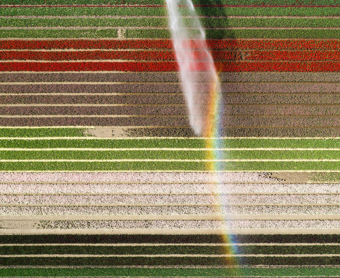 Mischa Keijser, Sapiens #002, 2020