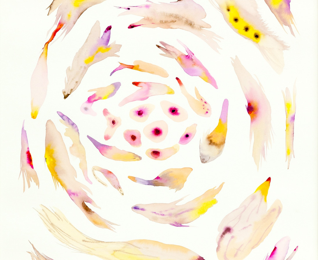 Isabella Nazzarri, Sistema Innaturale (Genesi), 2016